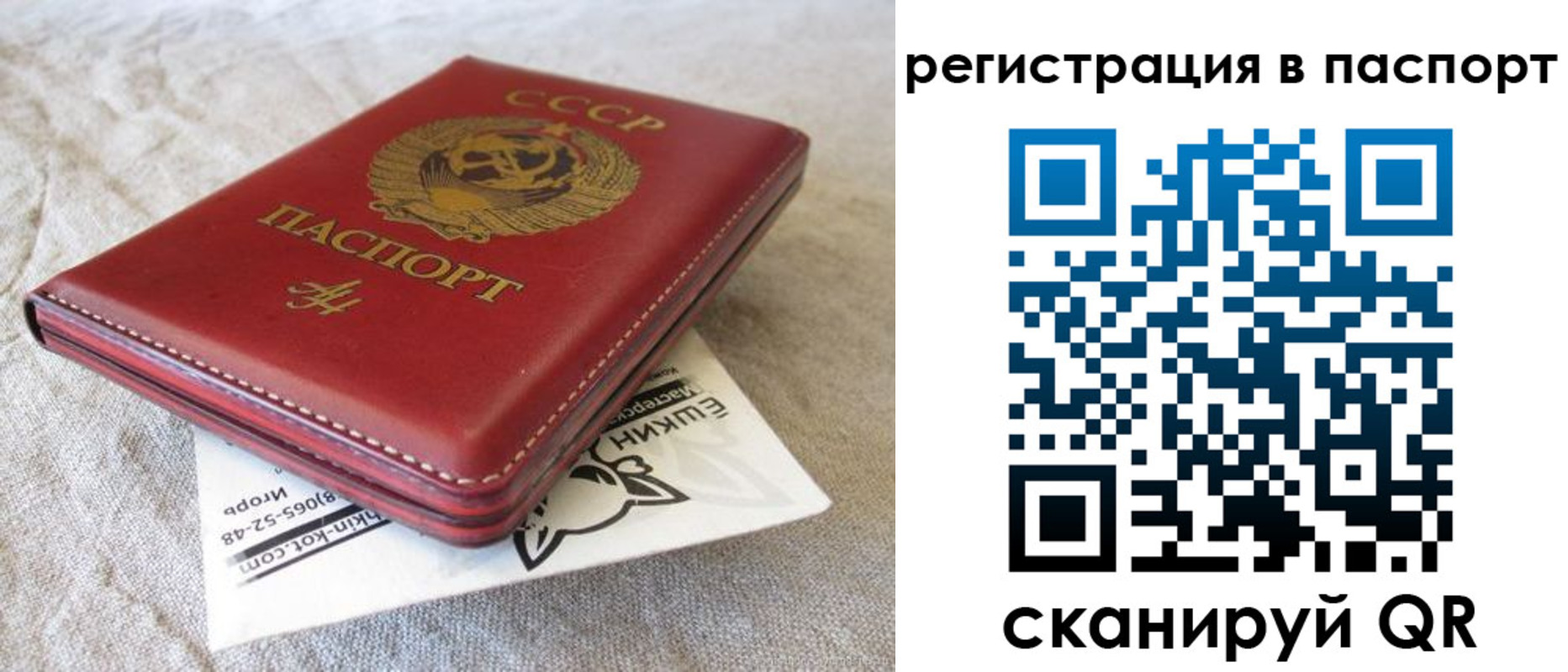 где прописаться в Краснознаменске
